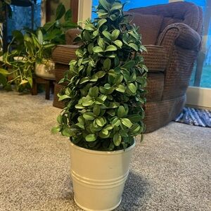 Artificial Boxwood Cone Topiary Plant in Cream Planter.